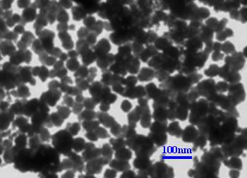 Perancah Hidrogel Komposit Superparamagnetik untuk Pemantauan Dinamik In Vivo Penjanaan Semula Osteoartritis