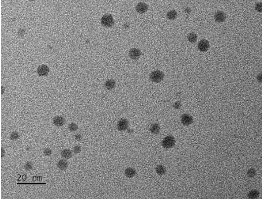 Penggunaan inovatif nanopartikel sulfida perak dalam hidrogel rangkaian berganda ringan untuk terapi fototerapi kanser