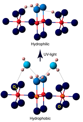 surface hydroxyl groups