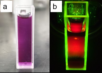 Cahaya merah Karbon Quantum Dot (CQD) Nanozarah